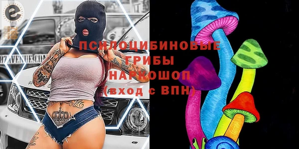 тгк Арсеньев